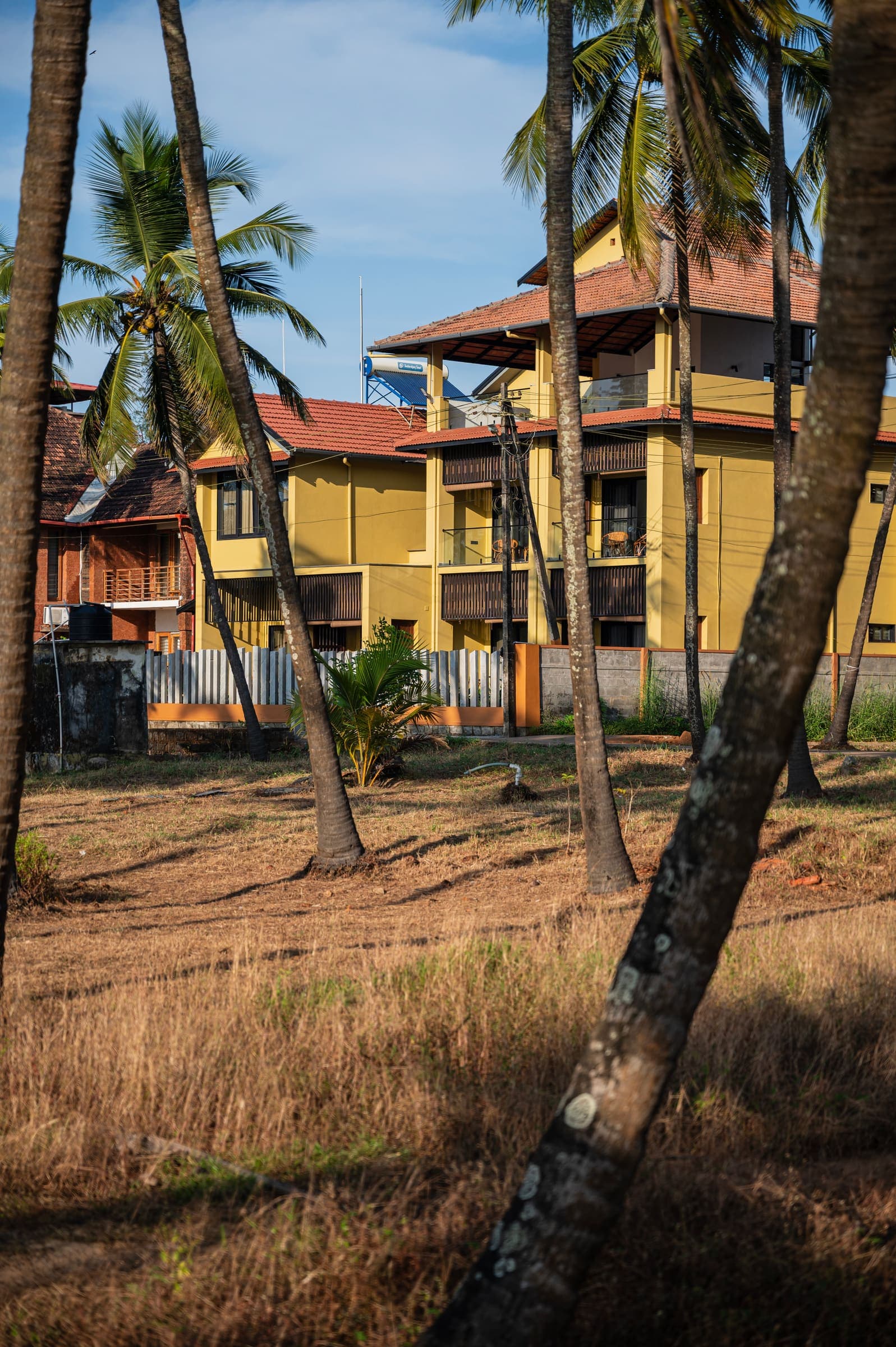 The villa seen through a grove of coconut palms