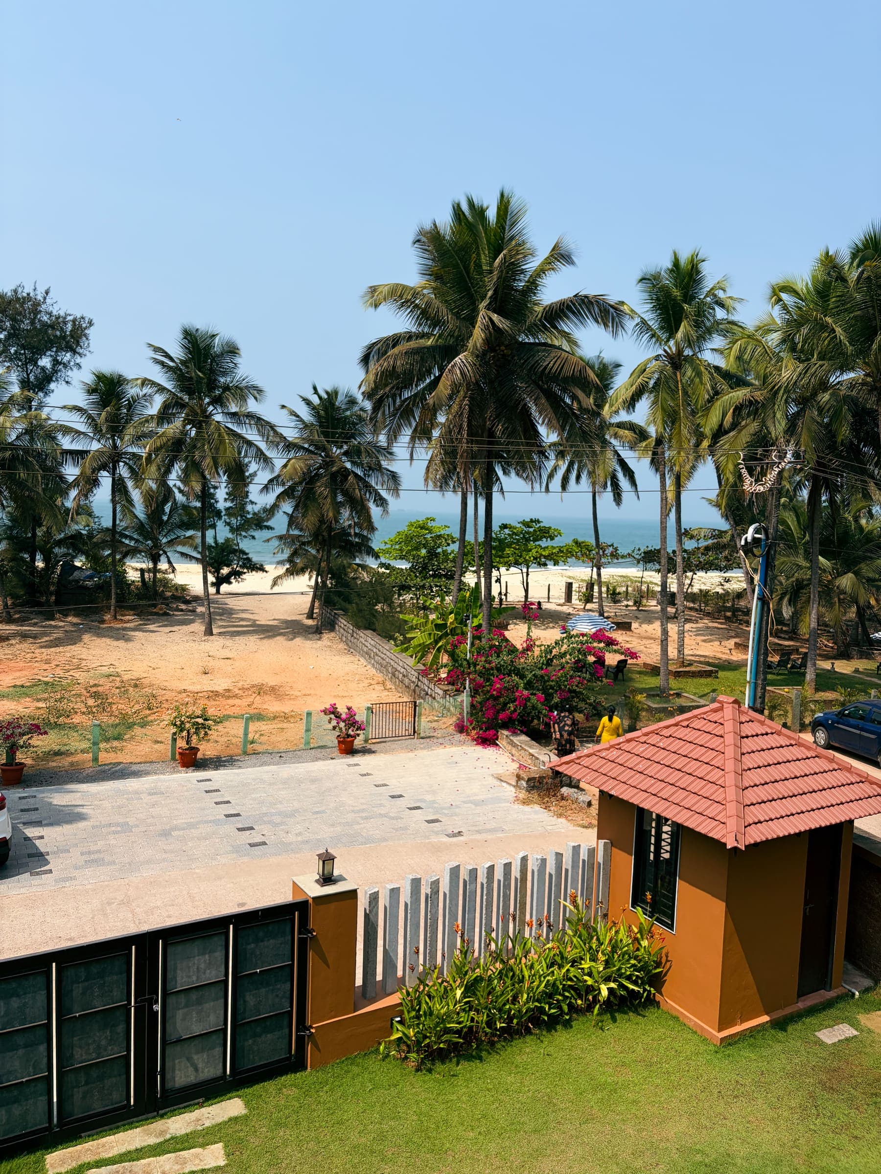 Coconut palms, the garden and the Arabian Sea, seen from the room